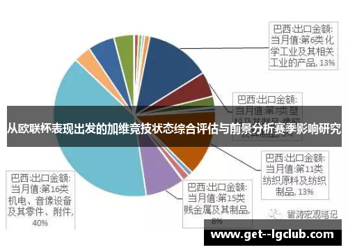 从欧联杯表现出发的加维竞技状态综合评估与前景分析赛季影响研究